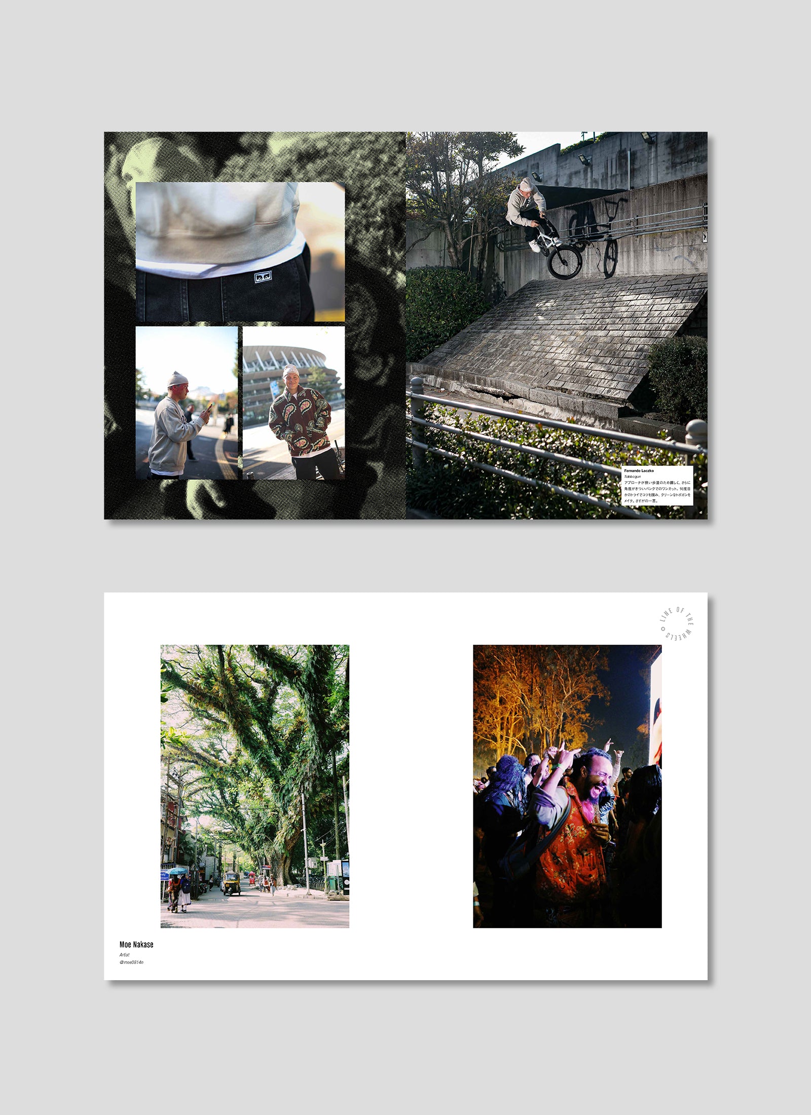 HIDDEN CHAMPION Issue#71