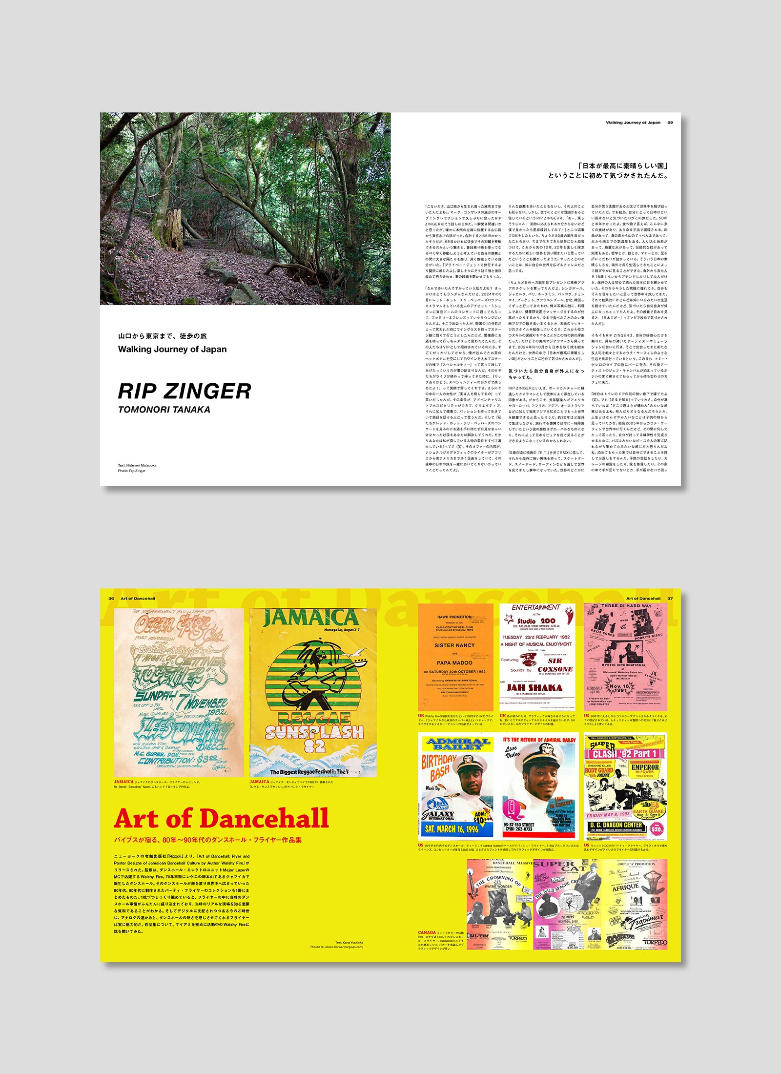 HIDDEN CHAMPION Issue#77